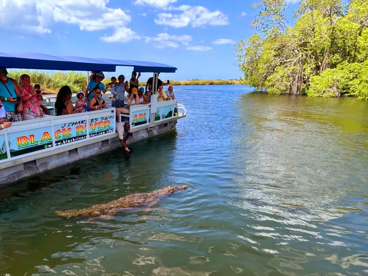 Black River Safari boat tour