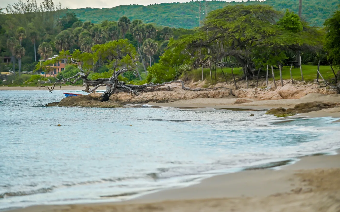 Treasure Beach coastline near Jakes